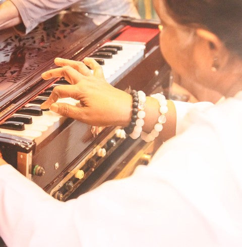 Premium Harmonium Paul & Co