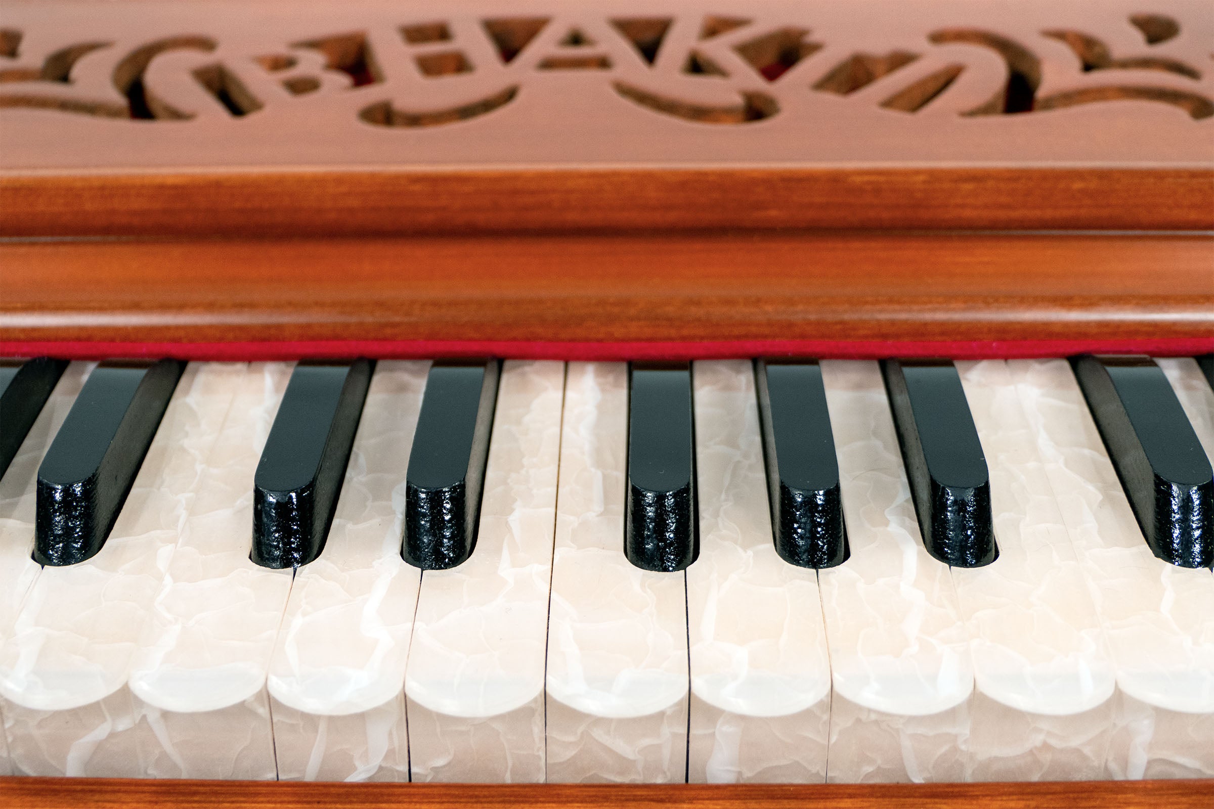 Bhakti Soul Standard Edition light brown